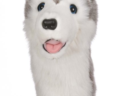 Daphne s Headcover Husky For Discount