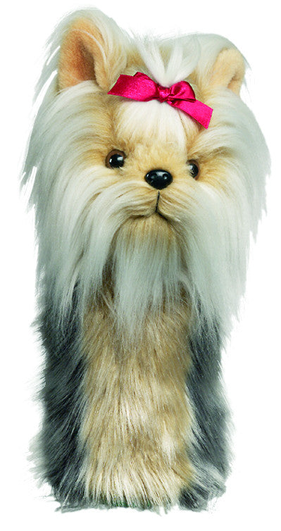 Daphne s Headcover Yorkshire Terrier Online Sale