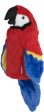 Daphne s Headcover Parrot Online Hot Sale