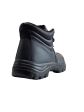 Tiger safety boot For Discount