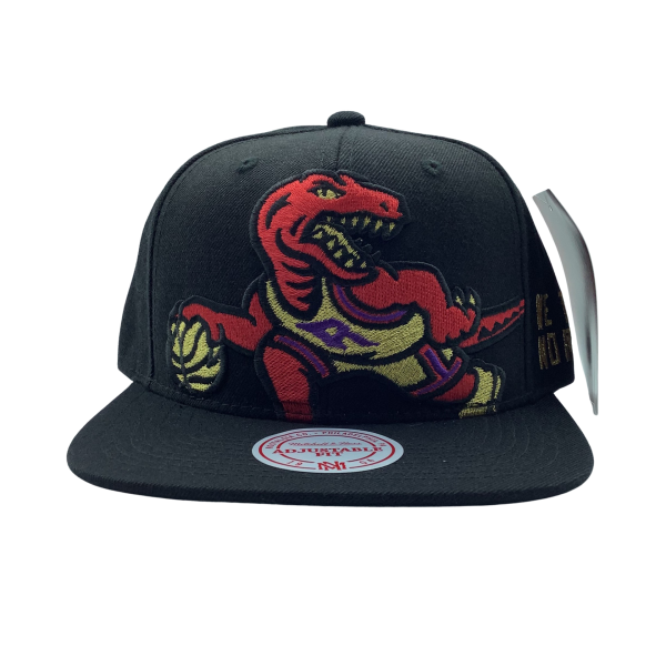 Mitchell & Ness TORONTO RAPTORS Hot on Sale